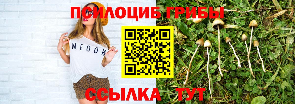 Галлюциногенные грибы GOLDEN TEACHER  Вход с VPN  Скопин 